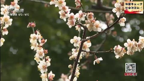 武進新聞