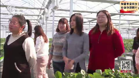 武進(jìn)新聞