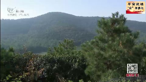 武進新聞