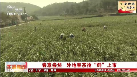 武進新聞