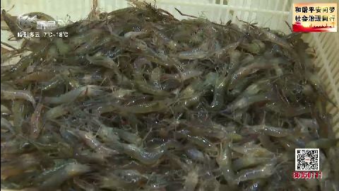 武進(jìn)新聞