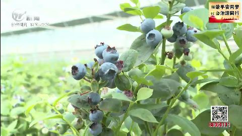 武進(jìn)新聞