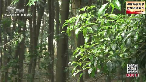 武進(jìn)新聞