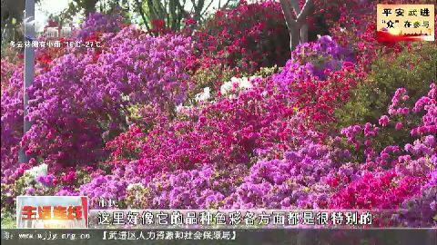 武進(jìn)新聞