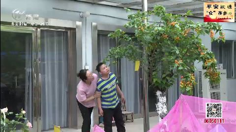 武進(jìn)新聞