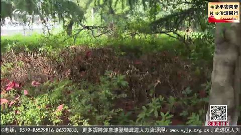 武進(jìn)新聞