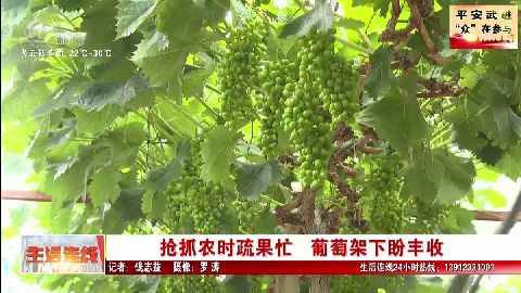 武進新聞