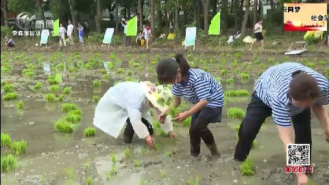 武進(jìn)新聞