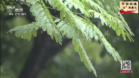武進新聞