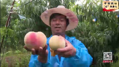 武進新聞