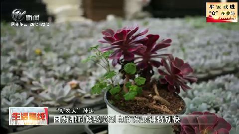 武進新聞
