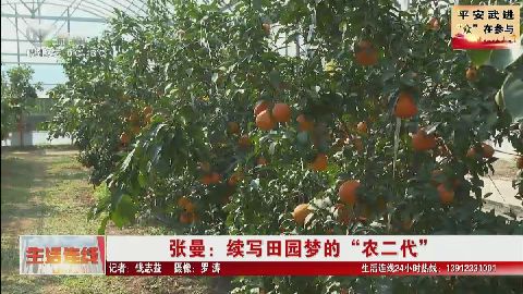 武進新聞