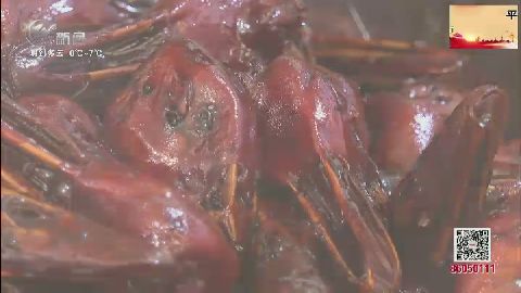 武進(jìn)新聞