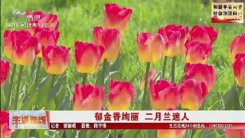 武進新聞