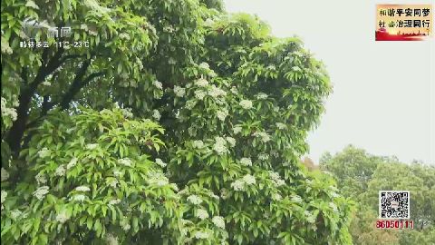 武進(jìn)新聞