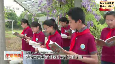 武進新聞