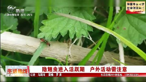 武進新聞