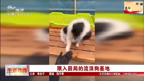 武進新聞