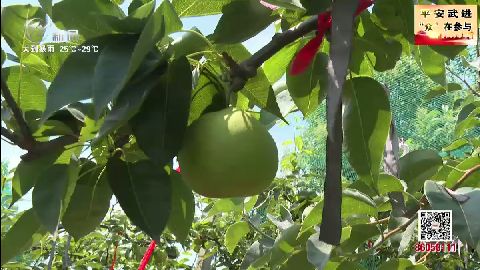 武進(jìn)新聞