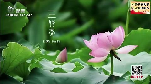 武進(jìn)新聞