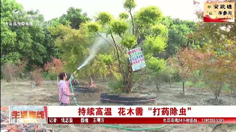 武進新聞