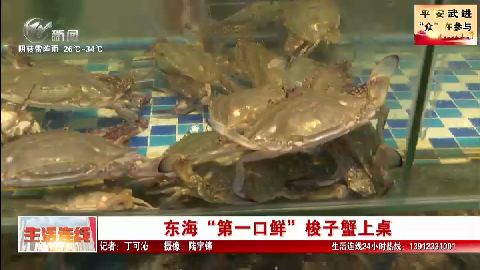 武進新聞