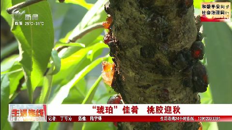 武進(jìn)新聞