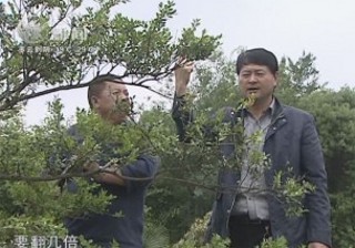 武進(jìn)新聞