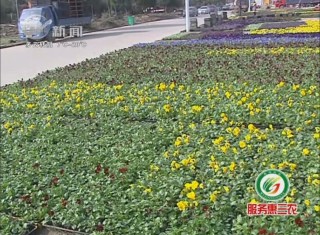 武進(jìn)新聞
