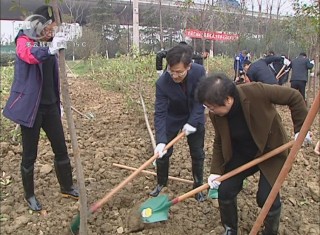 武進新聞