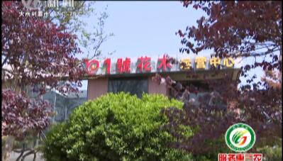 武進新聞