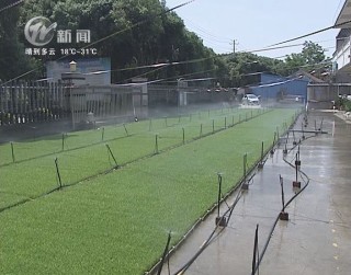 武進新聞