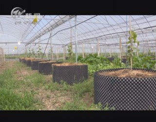武進(jìn)新聞