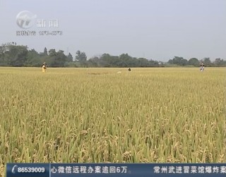 武進新聞