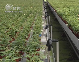 武進(jìn)新聞