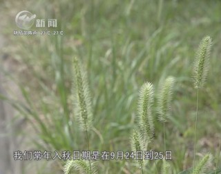 武進(jìn)新聞