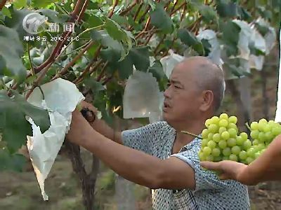 武進新聞