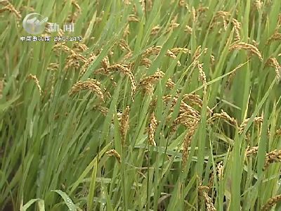 武進(jìn)新聞