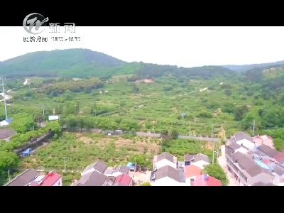 武進新聞