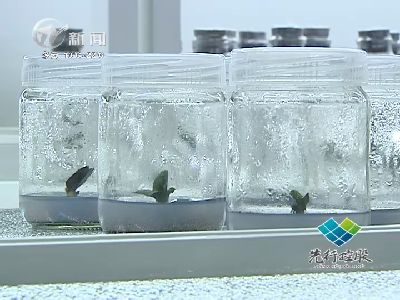武進(jìn)新聞