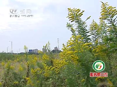武進(jìn)新聞