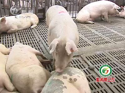 武進(jìn)新聞