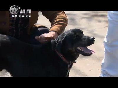 武進(jìn)新聞