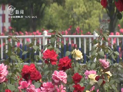 武進新聞