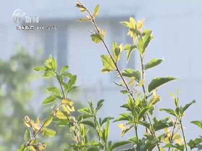 武進(jìn)新聞