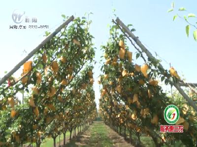 武進(jìn)新聞