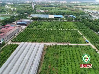 武進新聞