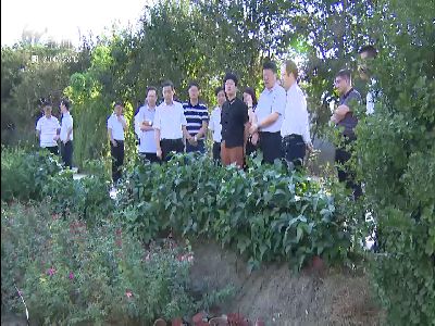 武進新聞