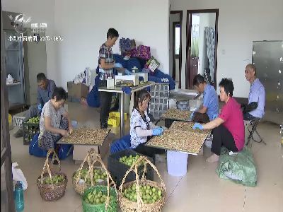 武進(jìn)新聞