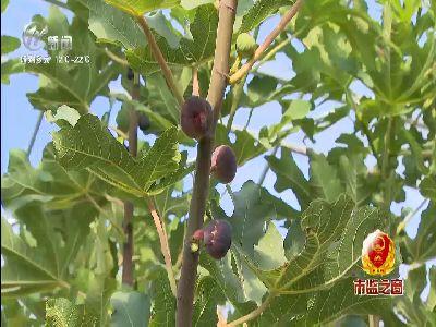 武進(jìn)新聞
